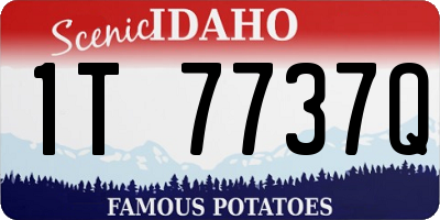 ID license plate 1T7737Q