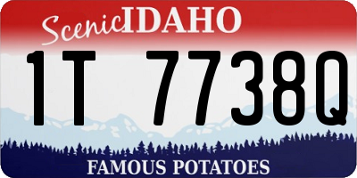 ID license plate 1T7738Q