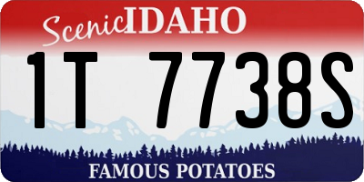 ID license plate 1T7738S