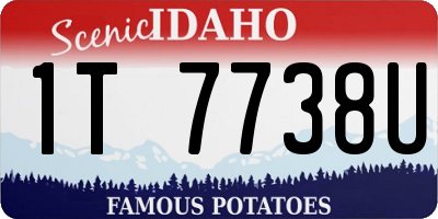 ID license plate 1T7738U
