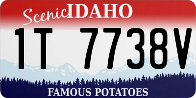 ID license plate 1T7738V