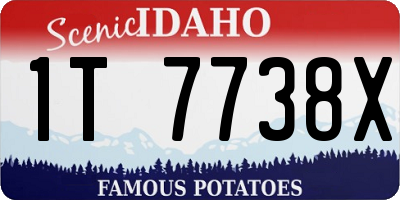 ID license plate 1T7738X