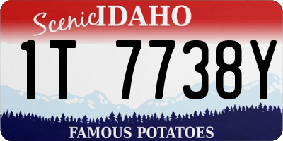 ID license plate 1T7738Y
