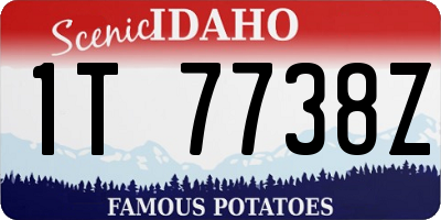 ID license plate 1T7738Z