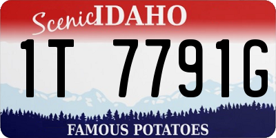 ID license plate 1T7791G