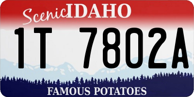 ID license plate 1T7802A