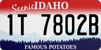 ID license plate 1T7802B