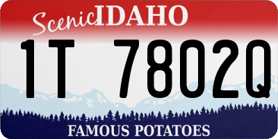 ID license plate 1T7802Q