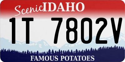 ID license plate 1T7802V
