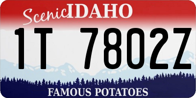 ID license plate 1T7802Z