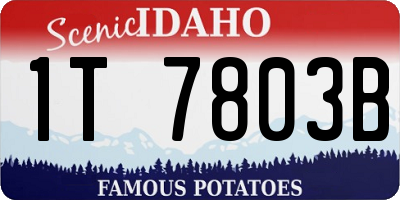 ID license plate 1T7803B