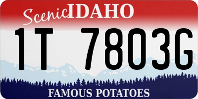 ID license plate 1T7803G