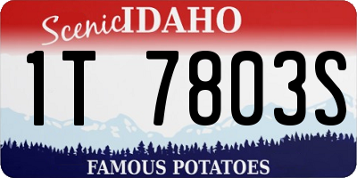 ID license plate 1T7803S