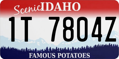 ID license plate 1T7804Z