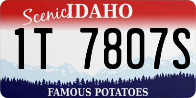 ID license plate 1T7807S