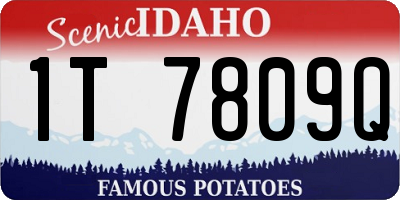 ID license plate 1T7809Q