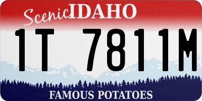 ID license plate 1T7811M