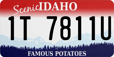 ID license plate 1T7811U