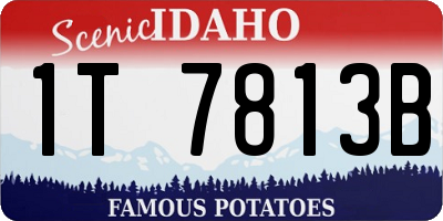 ID license plate 1T7813B