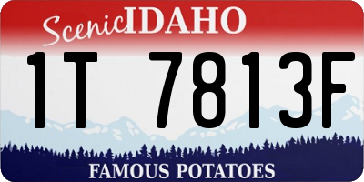 ID license plate 1T7813F