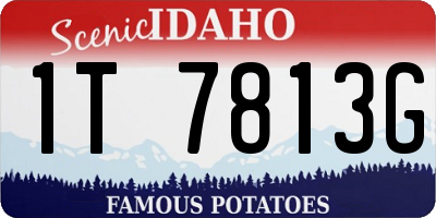 ID license plate 1T7813G