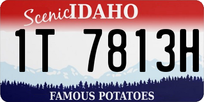 ID license plate 1T7813H