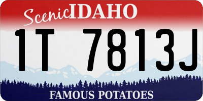 ID license plate 1T7813J