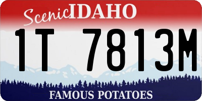 ID license plate 1T7813M
