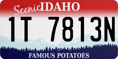 ID license plate 1T7813N