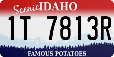 ID license plate 1T7813R
