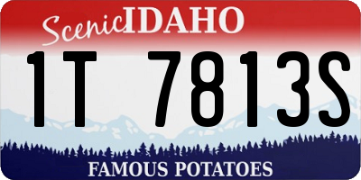 ID license plate 1T7813S
