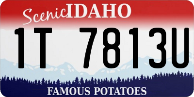 ID license plate 1T7813U