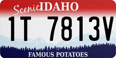 ID license plate 1T7813V