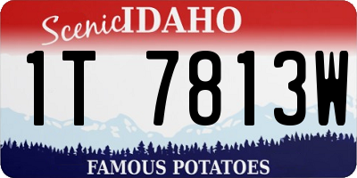 ID license plate 1T7813W
