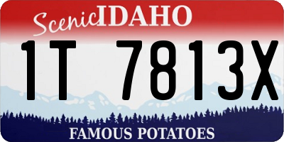 ID license plate 1T7813X