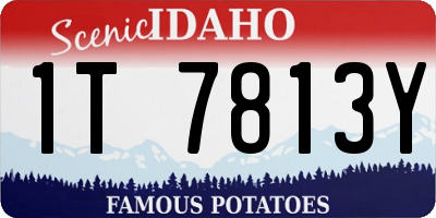 ID license plate 1T7813Y