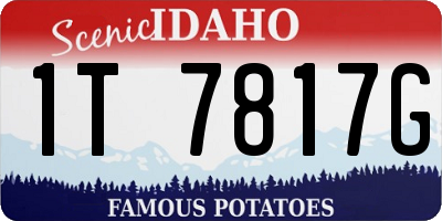 ID license plate 1T7817G
