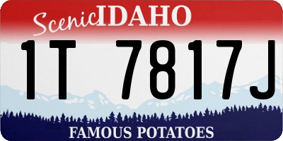 ID license plate 1T7817J