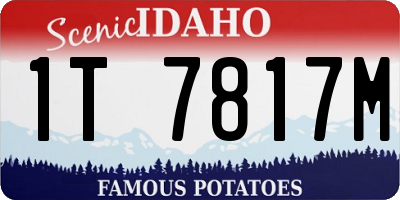 ID license plate 1T7817M