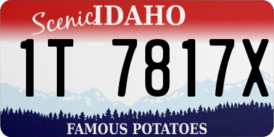 ID license plate 1T7817X