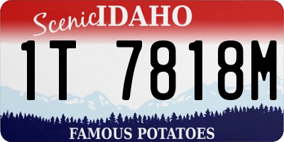 ID license plate 1T7818M