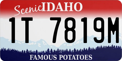 ID license plate 1T7819M