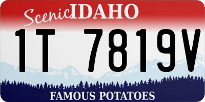 ID license plate 1T7819V