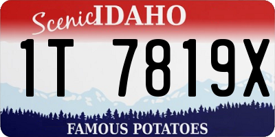 ID license plate 1T7819X