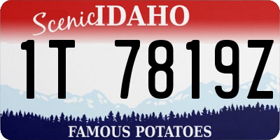 ID license plate 1T7819Z