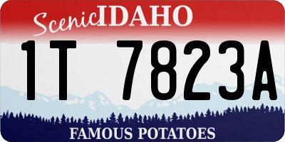 ID license plate 1T7823A