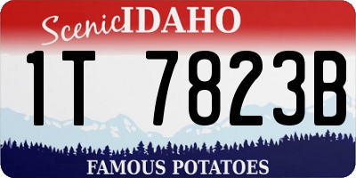 ID license plate 1T7823B