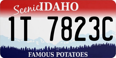 ID license plate 1T7823C