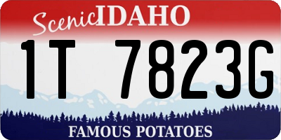 ID license plate 1T7823G