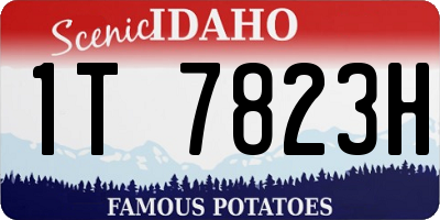 ID license plate 1T7823H